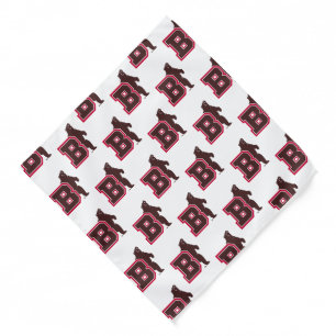 B & Bear Bandana