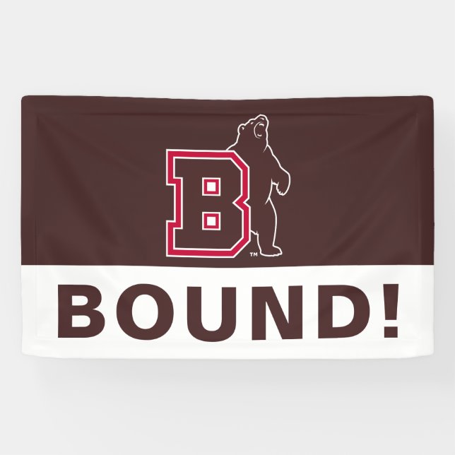 B & Bear Banner (Horizontal)
