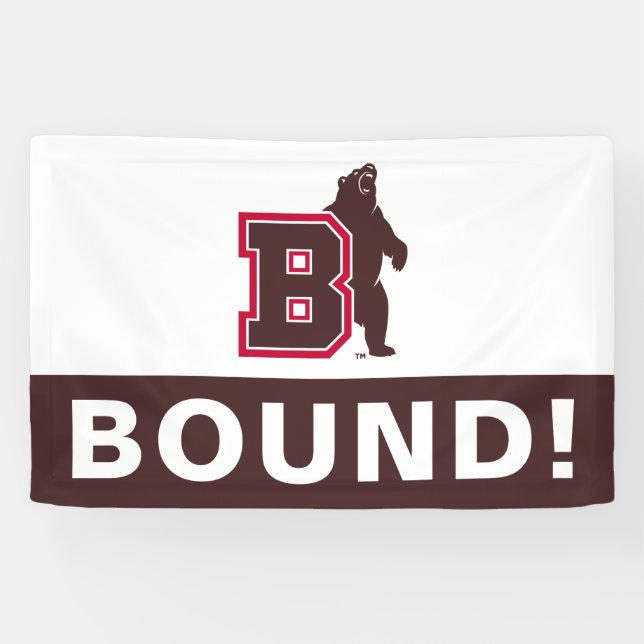 B & Bear Banner (Horizontal)