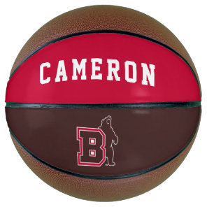 B & Bear Basketball