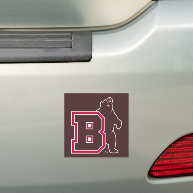 B & Bear Car Magnet (In Situ)