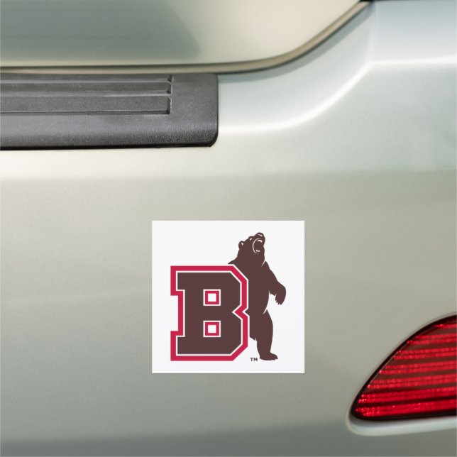 B & Bear Car Magnet (In Situ)