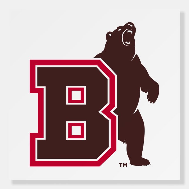 B & Bear Foam Board (Front)