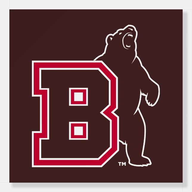 B & Bear Foam Board (Front)