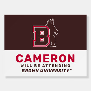 B & Bear Foam Board
