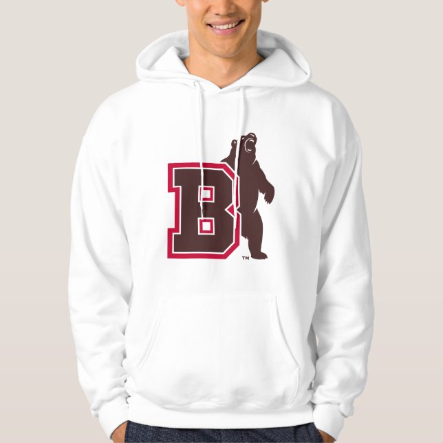 B & Bear Hoodie (Front)