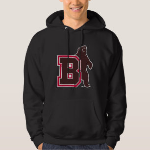 B & Bear Hoodie