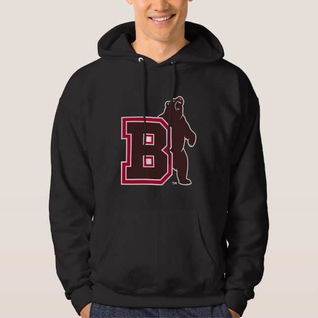 B & Bear Hoodie (Front)