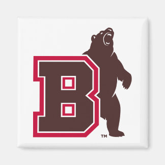 B & Bear Magnet