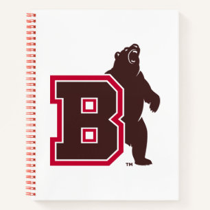 B & Bear Notebook