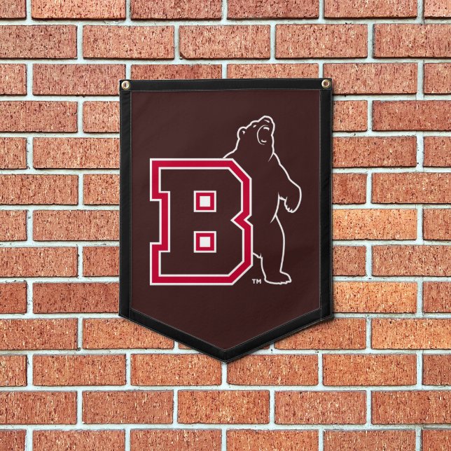 B & Bear Pennant (Insitu 1)