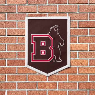 B & Bear Pennant