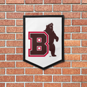 B & Bear Pennant