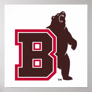 B & Bear Poster