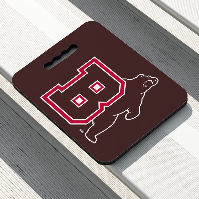 B & Bear Seat Cushion (In Situ)