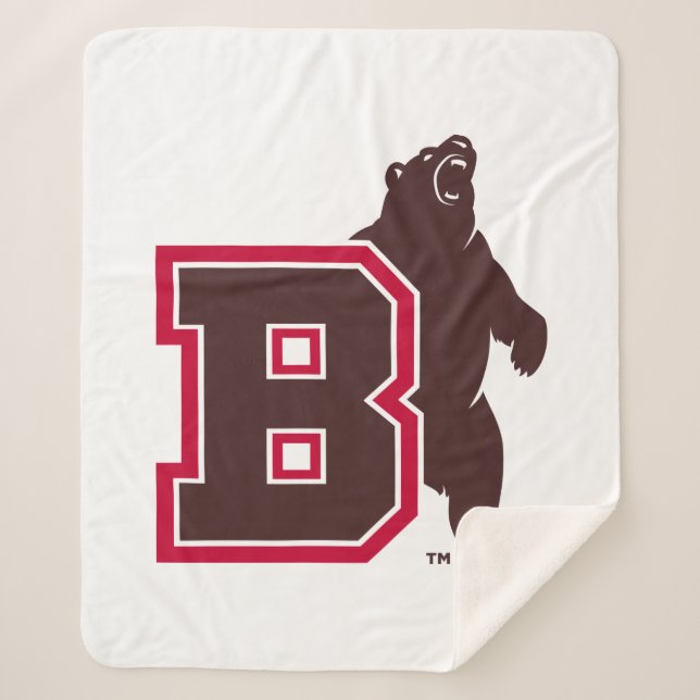 B & Bear Sherpa Blanket (Front)