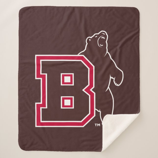 B & Bear Sherpa Blanket (Front)