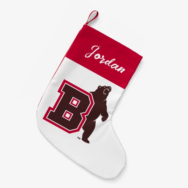 B & Bear Small Christmas Stocking (Front (Hanging))