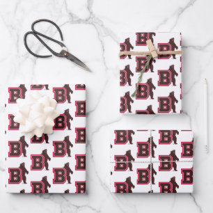 B & Bear Wrapping Paper Sheets