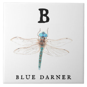 "B" Blue Darner  Ceramic Tile