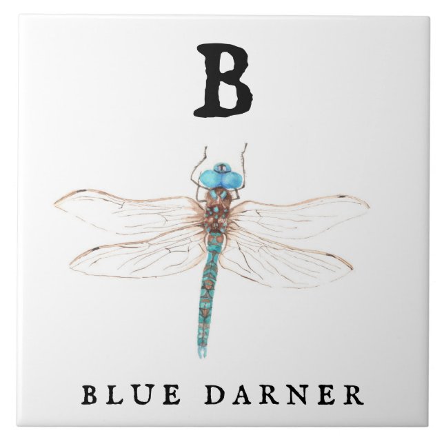 "B" Blue Darner  Ceramic Tile (Front)