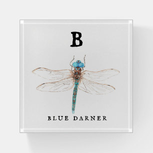 "B" Blue Darner Paperweight