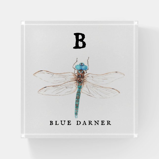 "B" Blue Darner  Paperweight (Front)