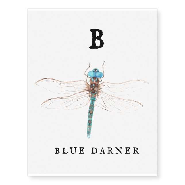 "B" Blue Darner  Temporary Tattoos (Front)