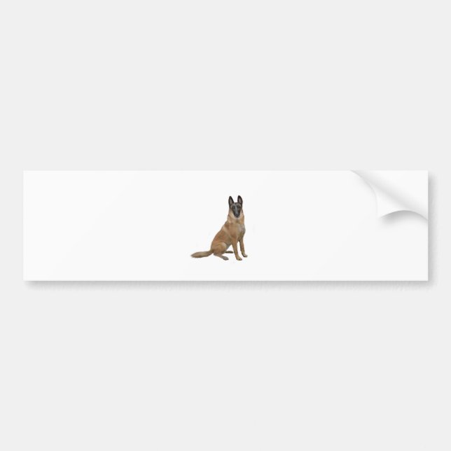 B elgian Malinois (A) Bumper Sticker (Front)