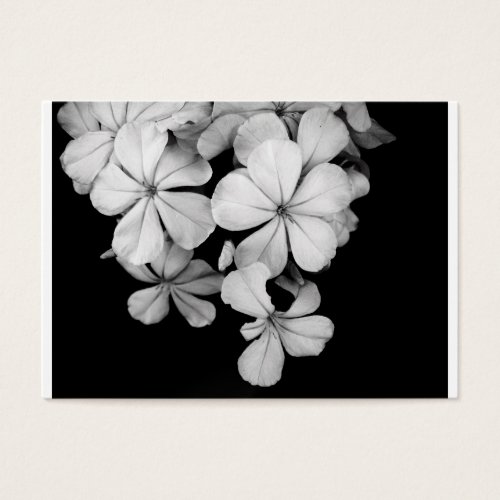 b&amp;w business card