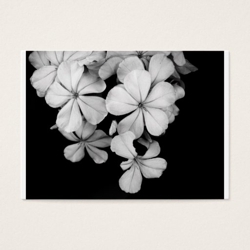 Customizable b&amp;w business card