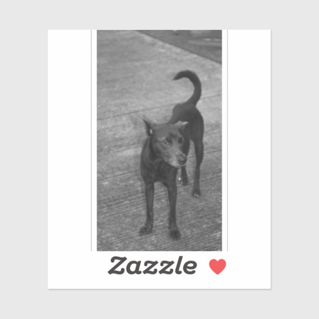 B&W - Aspin Sticker (Sheet)