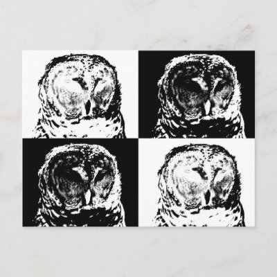 B/W Barred Owl Pop Art Postcard