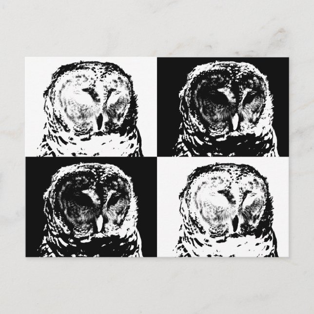 B/W Barred Owl Pop Art Postcard (Front)