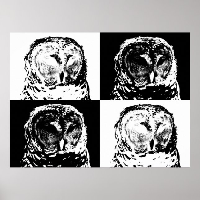 B/W Barred Owl Pop Art Poster (Front)