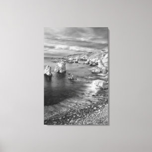 B&W beach coastline, California Canvas Print