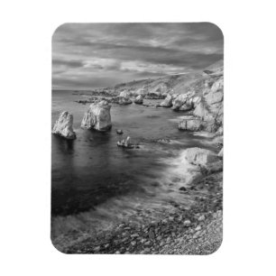 B&W beach coastline, California Magnet