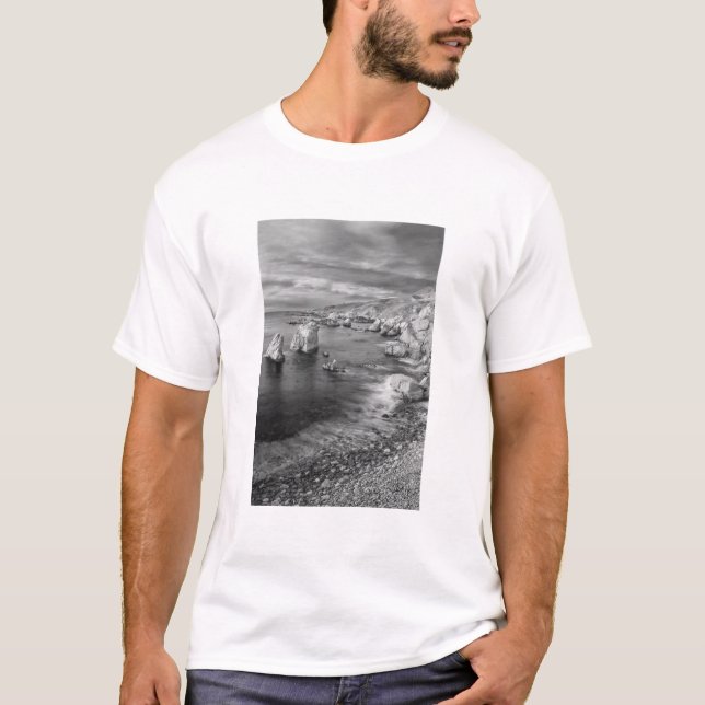 B&W beach coastline, California T-Shirt (Front)
