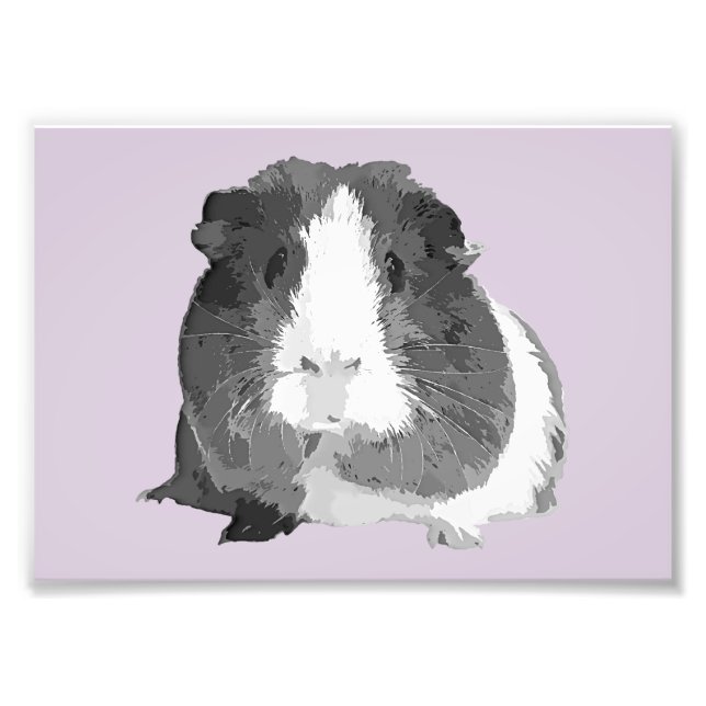 B&W 'Betty' Guinea Pig Print (Frames Available!) (Front)
