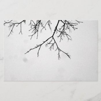 B&w Branches by eevernon at Zazzle