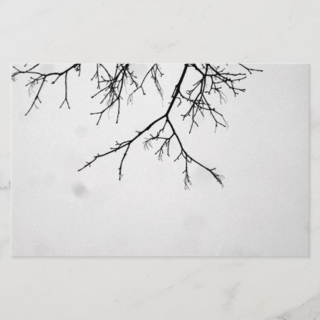 B&w Branches