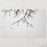 B&amp;w Branches at Zazzle