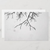 b&w branches (Front/Back)