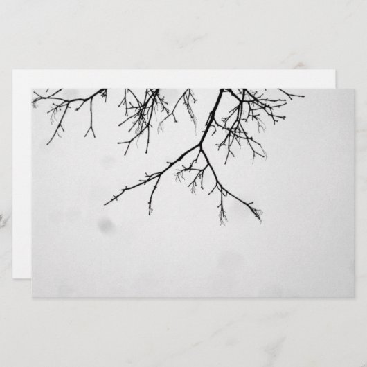 b&w branches (Front/Back)