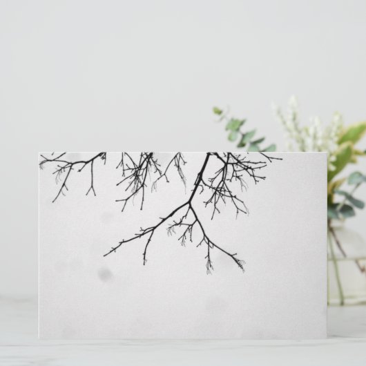 b&w branches (Standing Front)