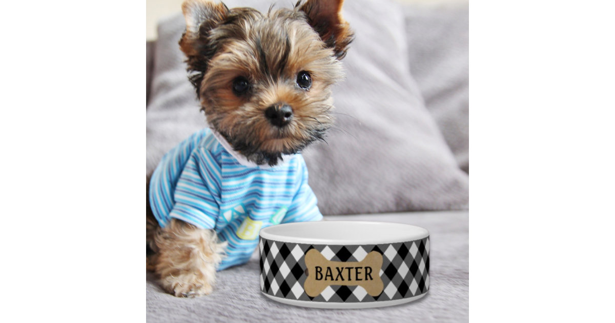  Baxter Dog Paw Dog Collar (Cat) : Handmade Products