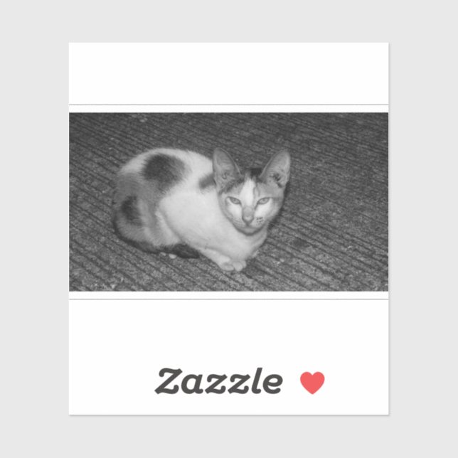 B&W - Cat 03 Sticker (Sheet)