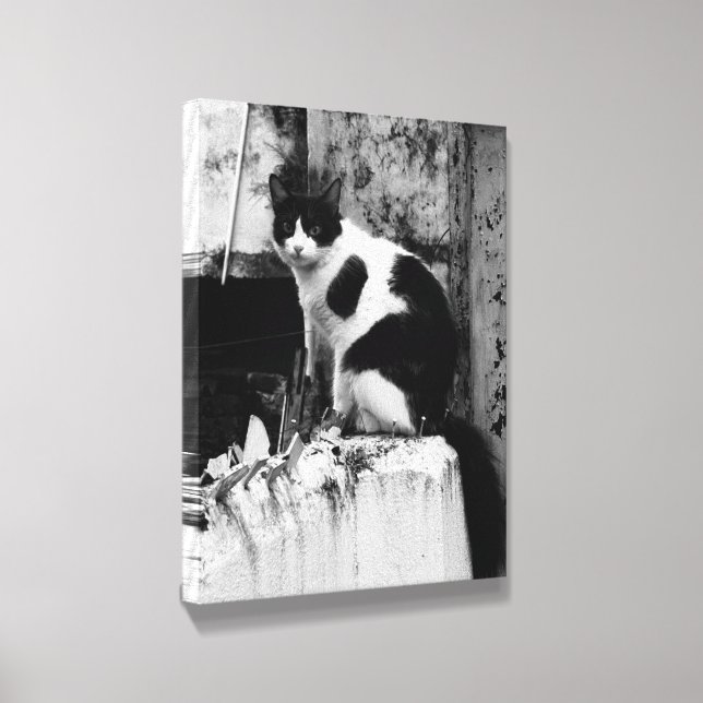 B&W Cat Photo Canvas Photo Tile (Angled)