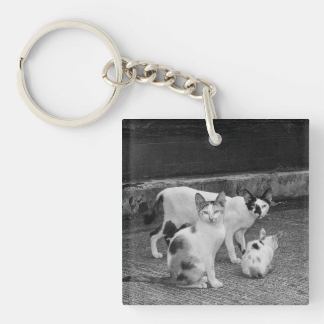 B&W -  Cats Keychain (Front)