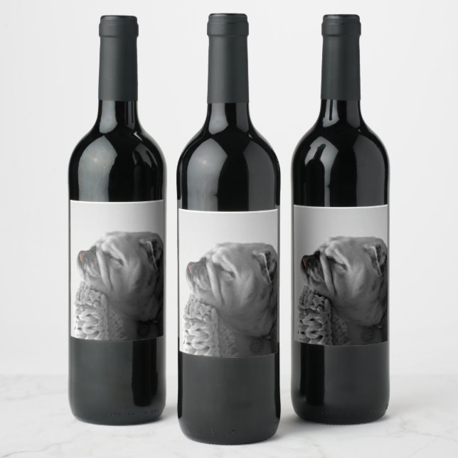 B&W Colorized Bulldog Resting Head Wine Label (Bottles)